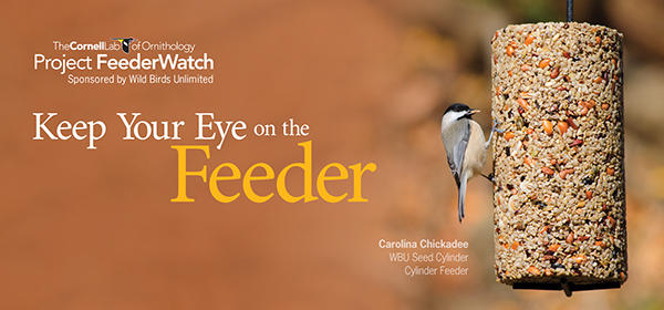 We're Sponsoring Project FeederWatch & BirdSpotter Photo Contest