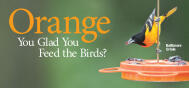 DSC Oriole Feeder 2005D